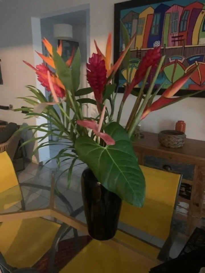 Appartement Anse à l'Ane, les Trois îlets, chez Val 0*, Les Trois-Ilets Martinique
